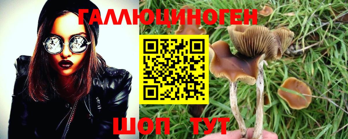 Псилоцибиновые грибы прущие грибы Саратов