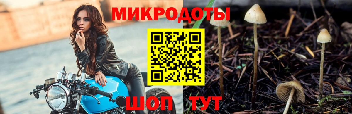 Саратов  Псилоцибиновые грибы ЛСД  Галлюциногенные грибы мухоморы  Вход с VPN 